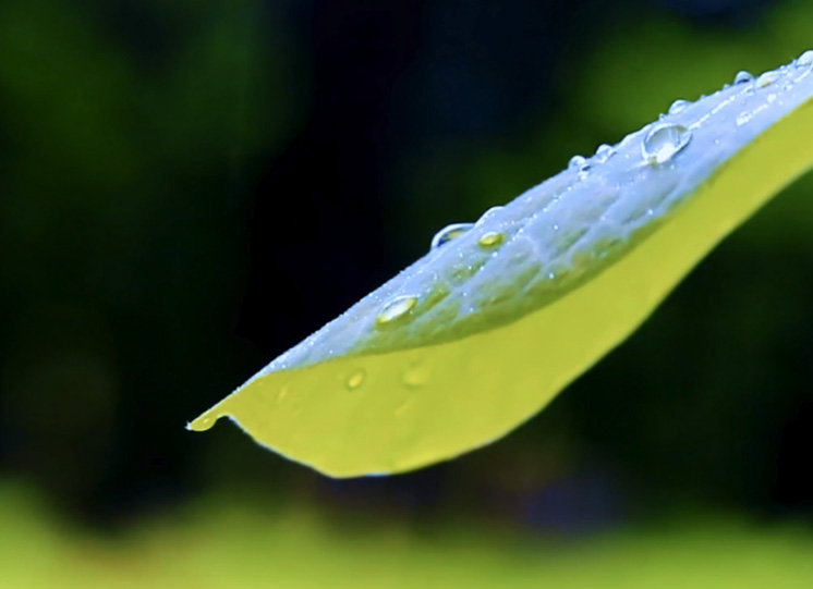 全国烟草行业人事工作会议在北京召开